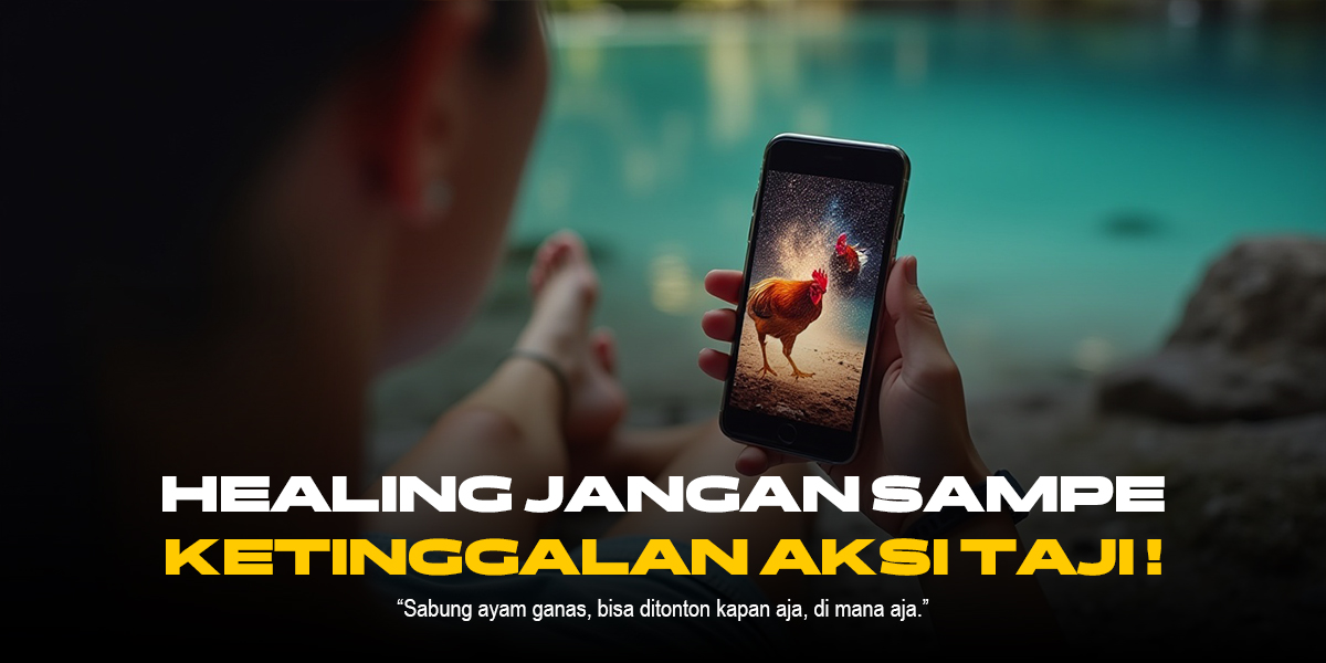 Mengulas SERENTAK Sabung Ayam SV388: Peluang dan Jenis Ayam Juara